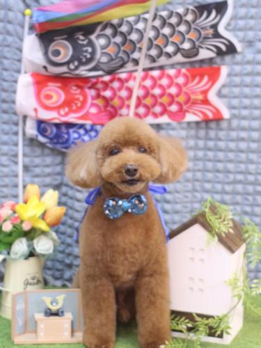 20230514レオくん